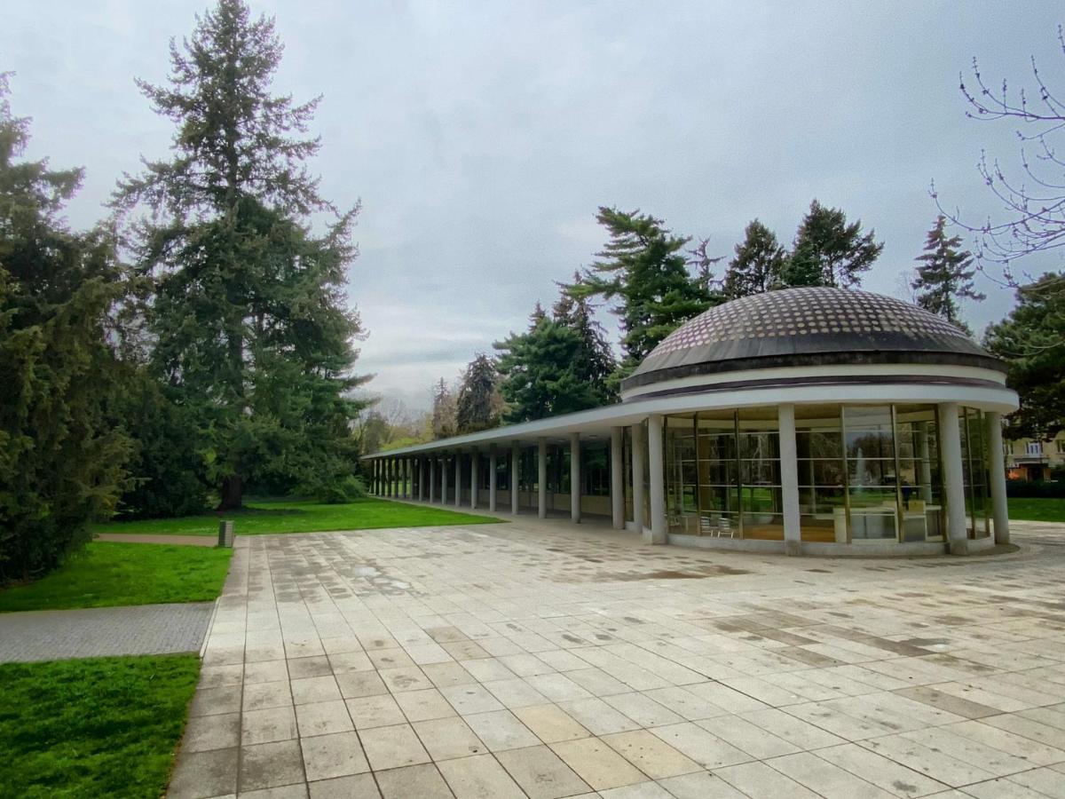 Apartment Spa And Fontain Poděbrady Exteriör bild